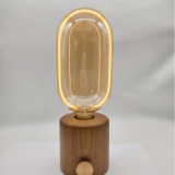 A95 Custom Color Capsule Glass LED Bulb (2) A95 Custom Color Capsule Glass LED Bulb (2)