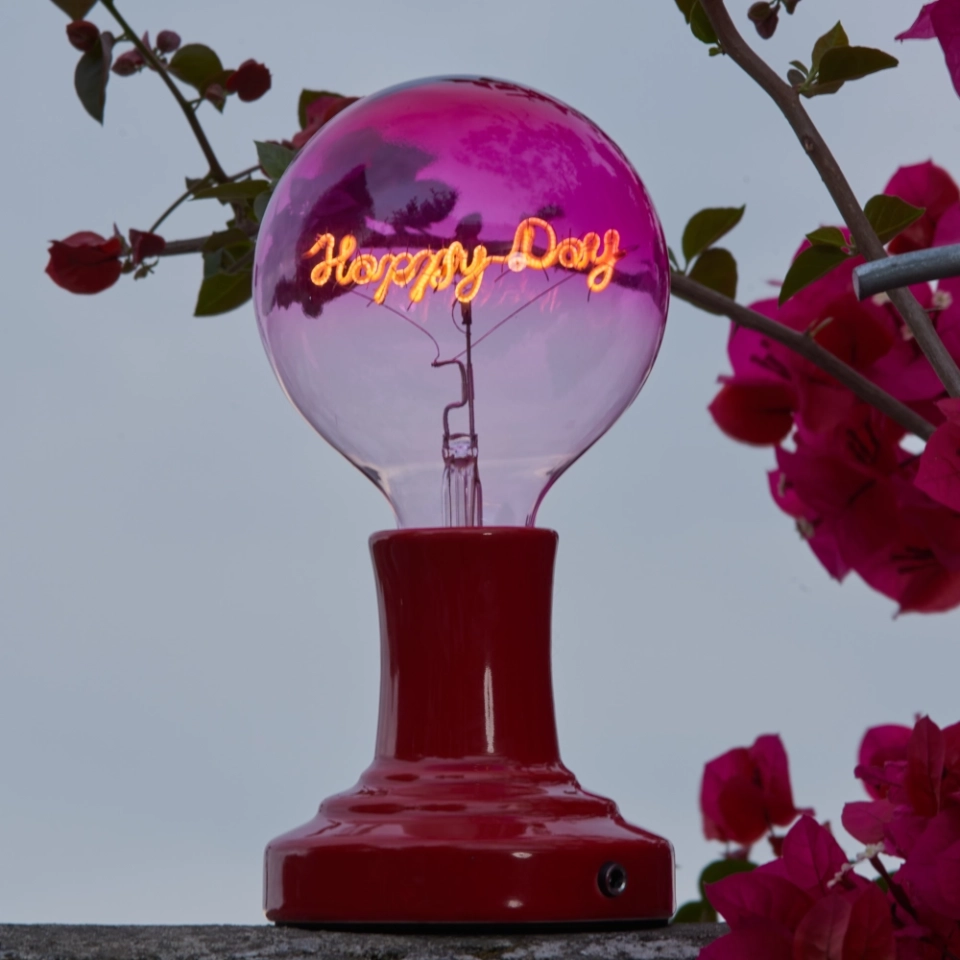 G125 Rose Red Top Clear Bottom Custom Letter LED Globe Bulb with Warm White Single-Line Filament (2) G125 Rose Red Top Clear Bottom Custom Letter LED Globe Bulb with Warm White Single-Line Filament (2)