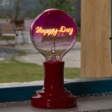 G125 Rose Red Top Clear Bottom Custom Letter LED Globe Bulb with Warm White Single-Line Filament (3) G125 Rose Red Top Clear Bottom Custom Letter LED Globe Bulb with Warm White Single-Line Filament (3)