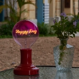 G125 Rose Red Top Clear Bottom Custom Letter LED Globe Bulb with Warm White Single-Line Filament (4) G125 Rose Red Top Clear Bottom Custom Letter LED Globe Bulb with Warm White Single-Line Filament (4)