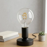 G95 Clear Glass LED Bulb with Snowman LED Light Plate