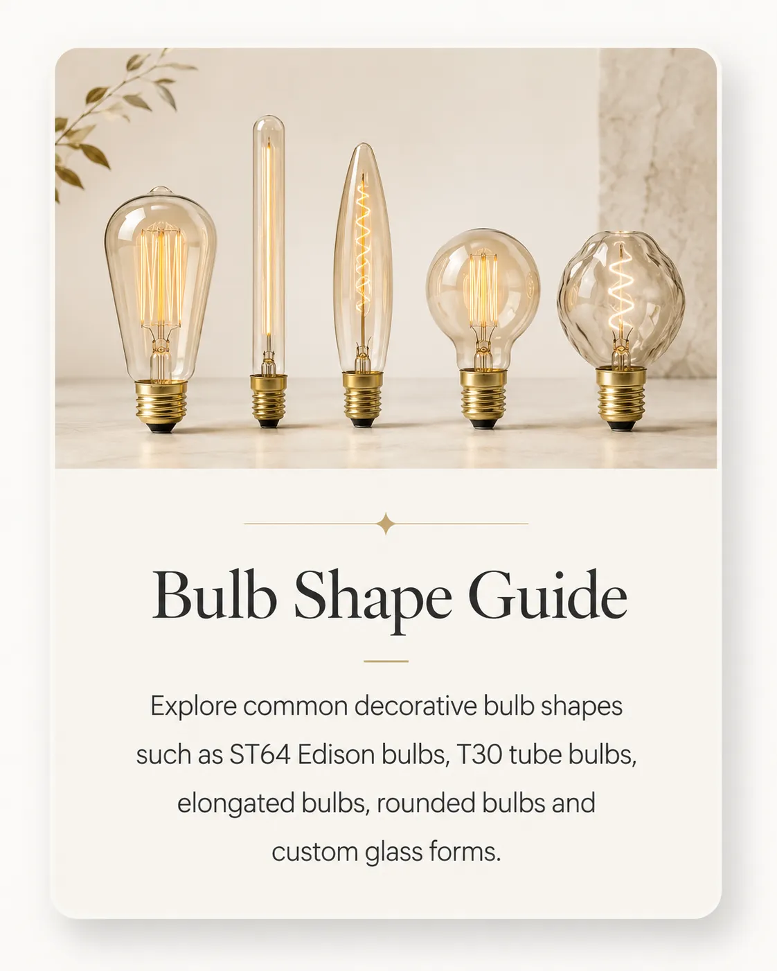 Bulb Shape Guide