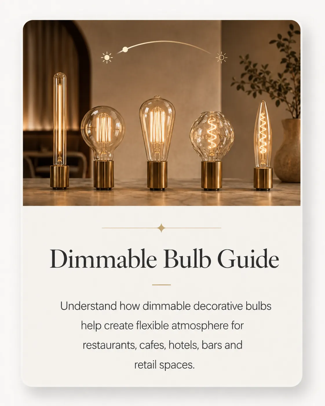 Dimmable Bulb Guide