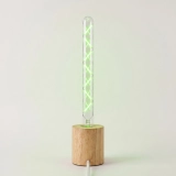 T30-300 Custom Green Filament LED Tube Bulb (3) T30-300 Custom Green Filament LED Tube Bulb (3)